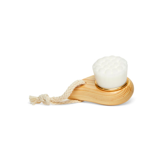Face Brush